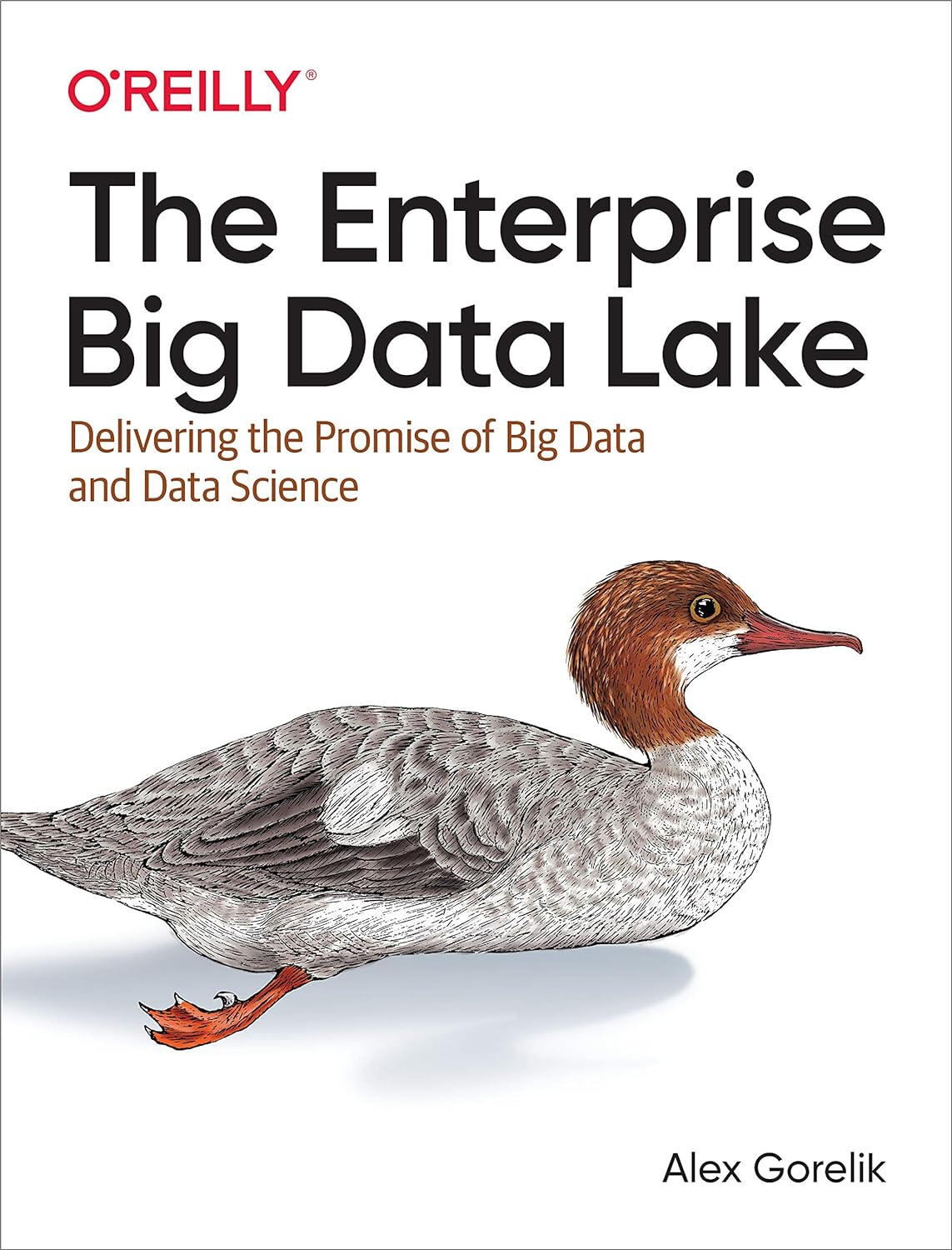 The Enterprise Big Data Lake - Alex Gorelik