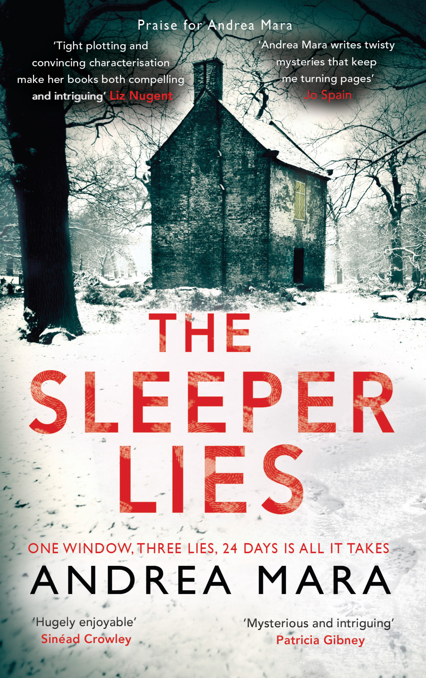 The Sleeper Lies - Andrea Mara
