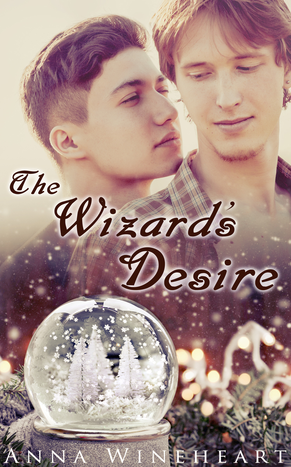 The Wizard's Desire - Anna Wineheart