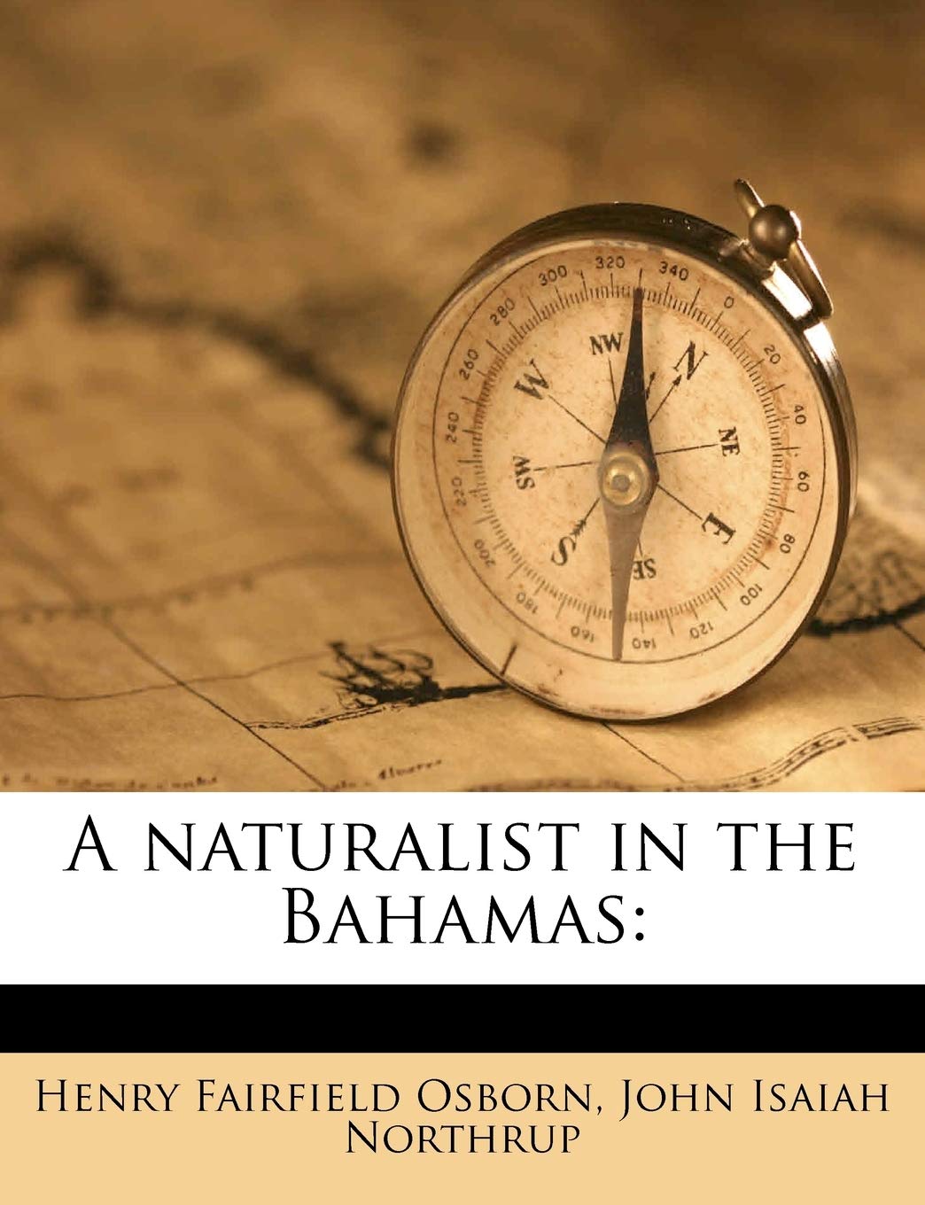A Naturalist in the Bahamas