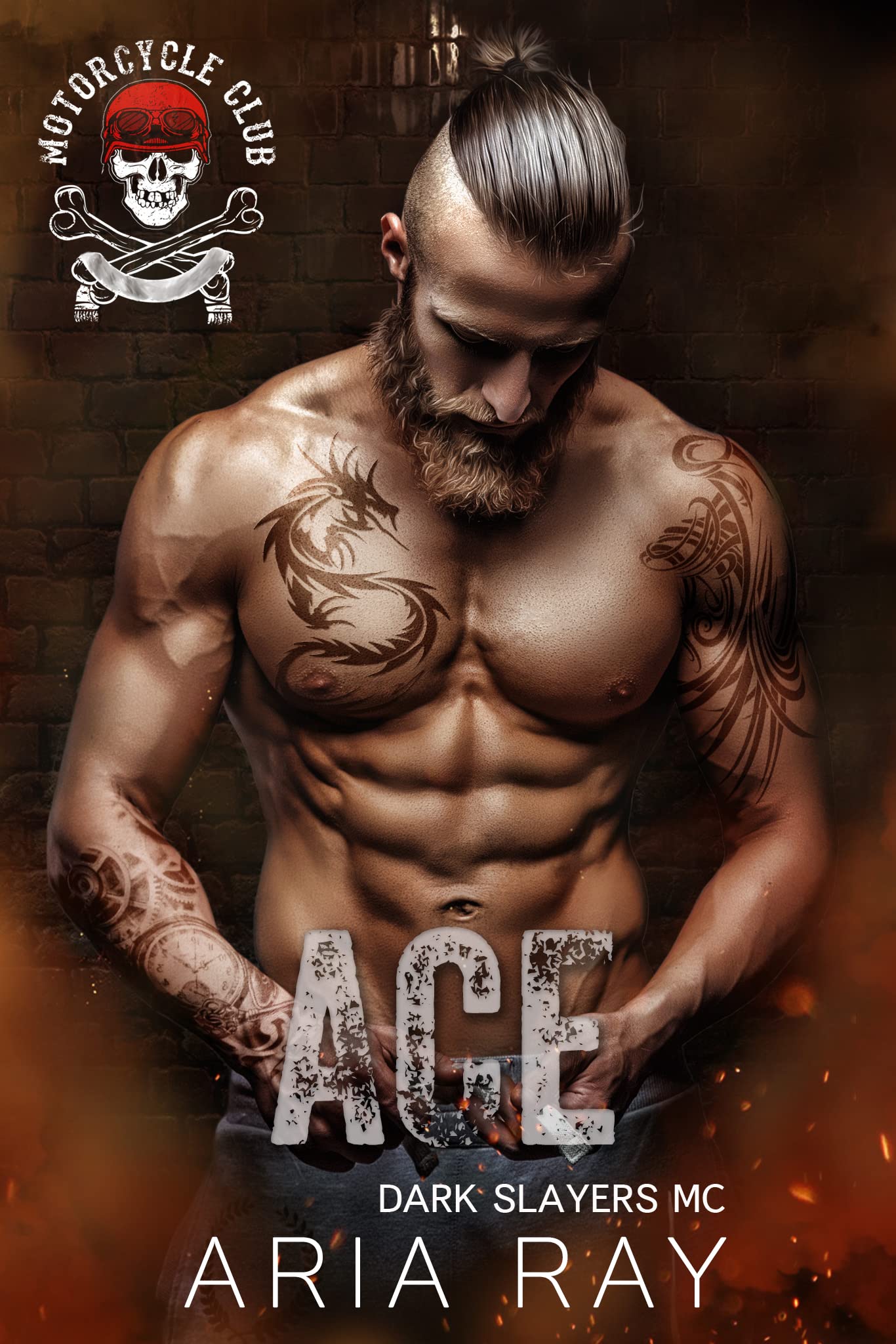 Ace (Dark Slayers MC Book 15) - Aria Ray