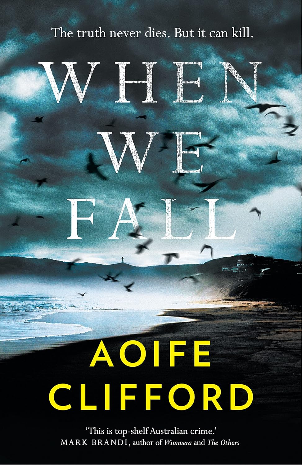 When We Fall - Aoife Clifford