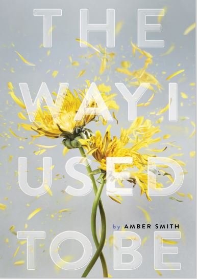 The Way I Used to Be By Amber Smith