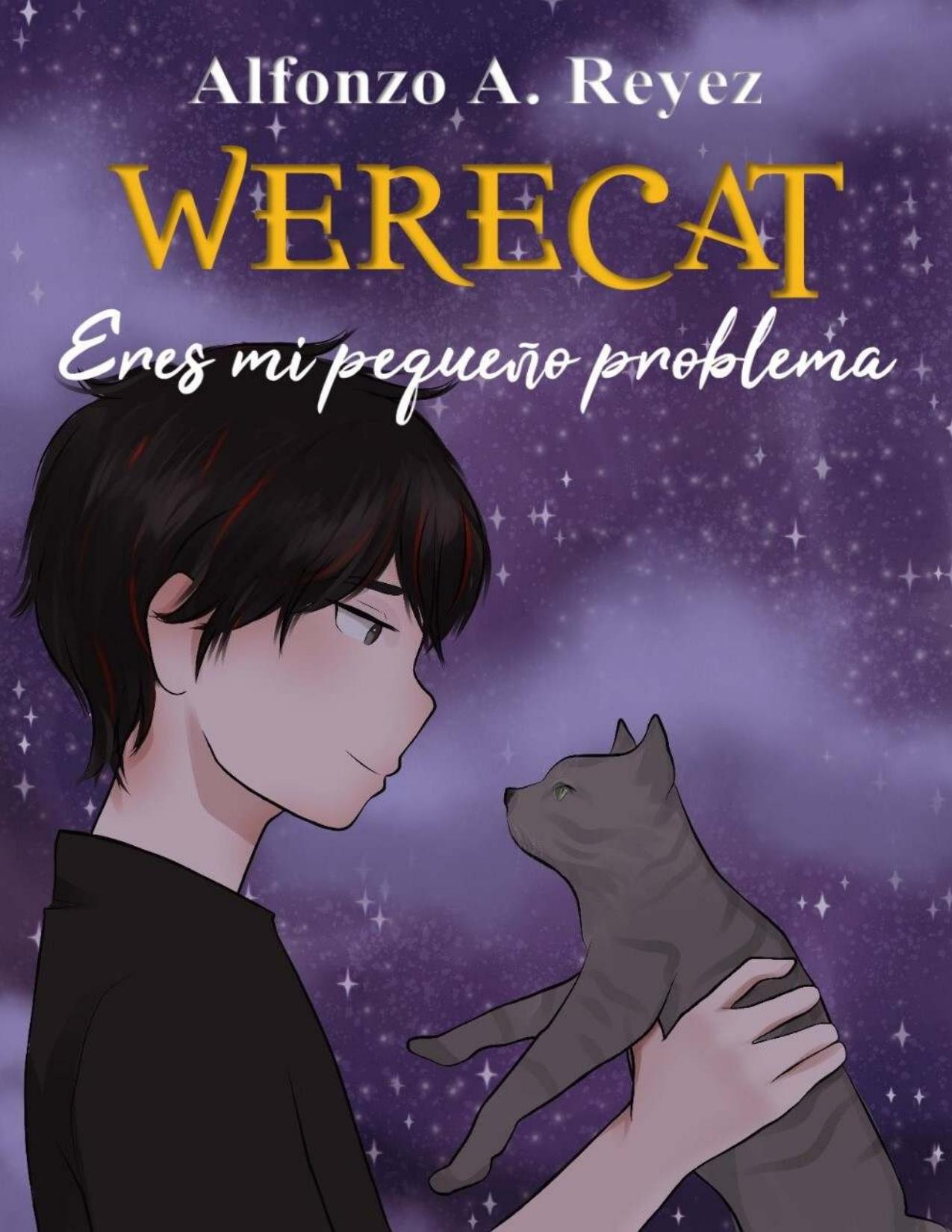 Eres mi pequeño problema de Alfonzo A. Reyez, portada del libro