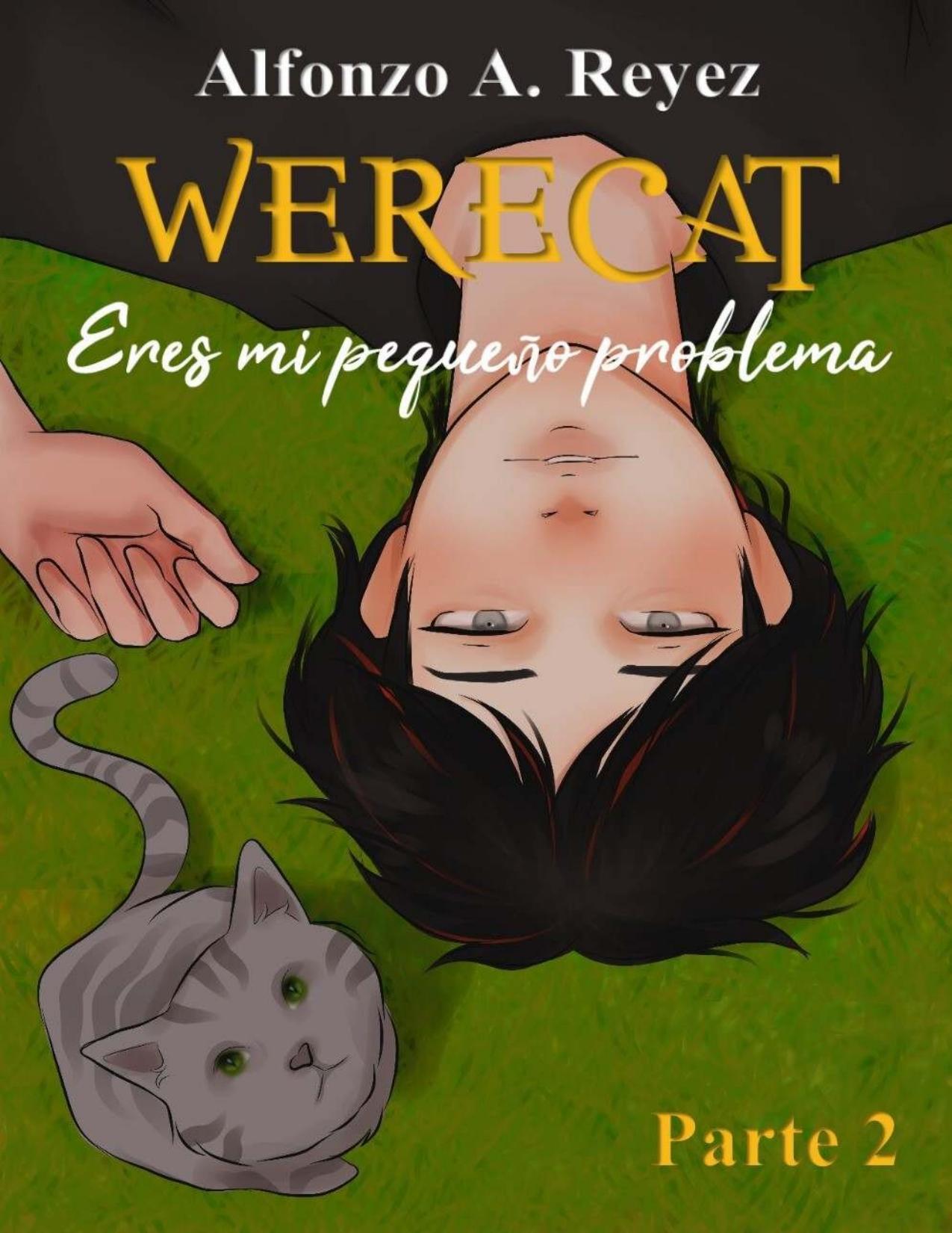 Eres mi pequeño problema 2 de Alfonzo A. Reyez, portada del libro