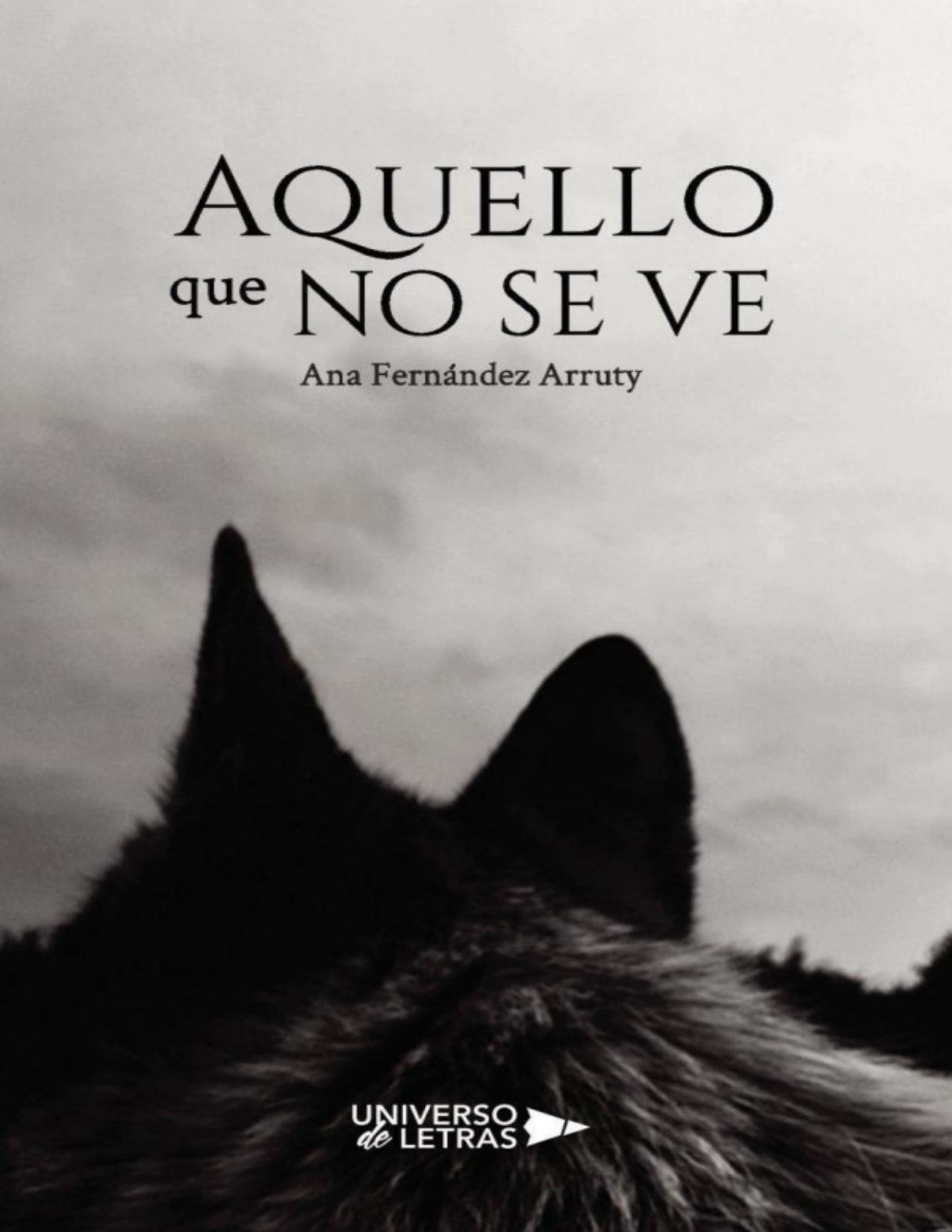Aquello que no se ve de Ana Fernandez Arruty, portada del libro
