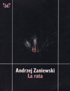 238251