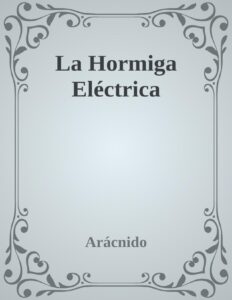 238643