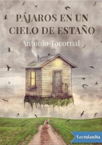 Portada de Pájaros en un cielo de estaño