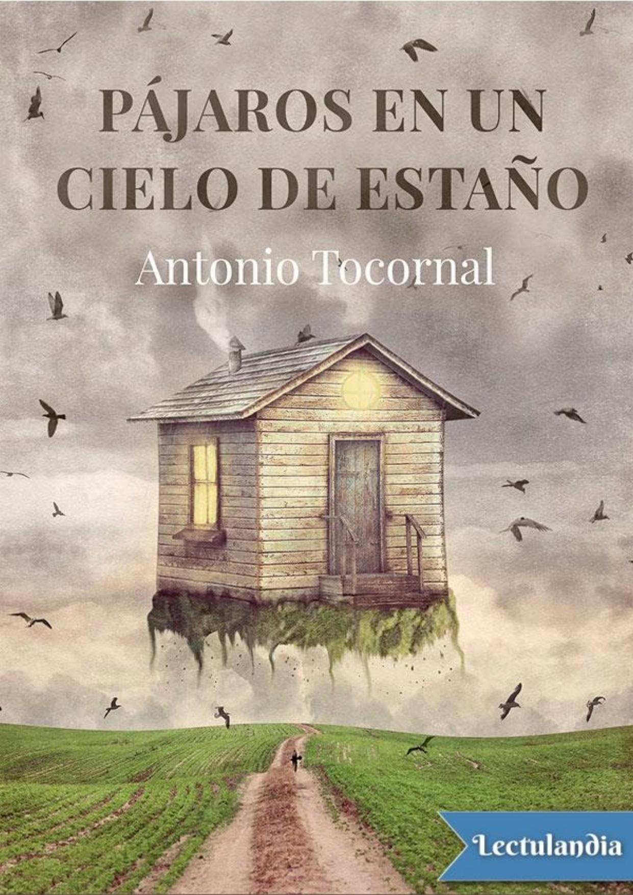 Pájaros en un cielo de estaño de Antonio Tocornal, portada del libro