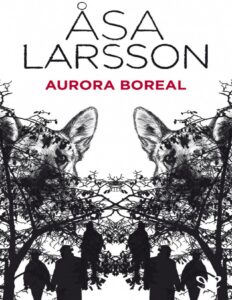 Portada de Aurora boreal