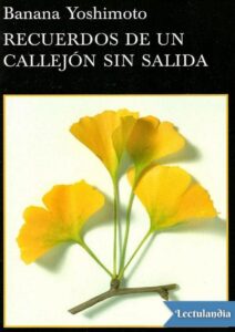 Portada de Recuerdos de un callejón sin salida