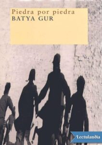 Portada de Piedra por piedra