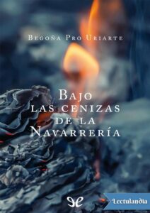 Portada de Bajo las cenizas de la Navarrería