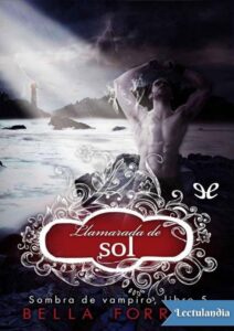 Portada de Llamarada de sol