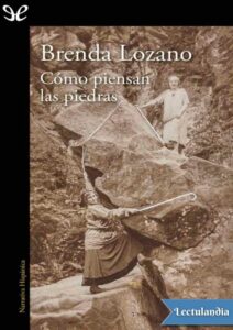 Portada de Cómo piensan las piedras