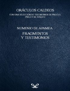 241082