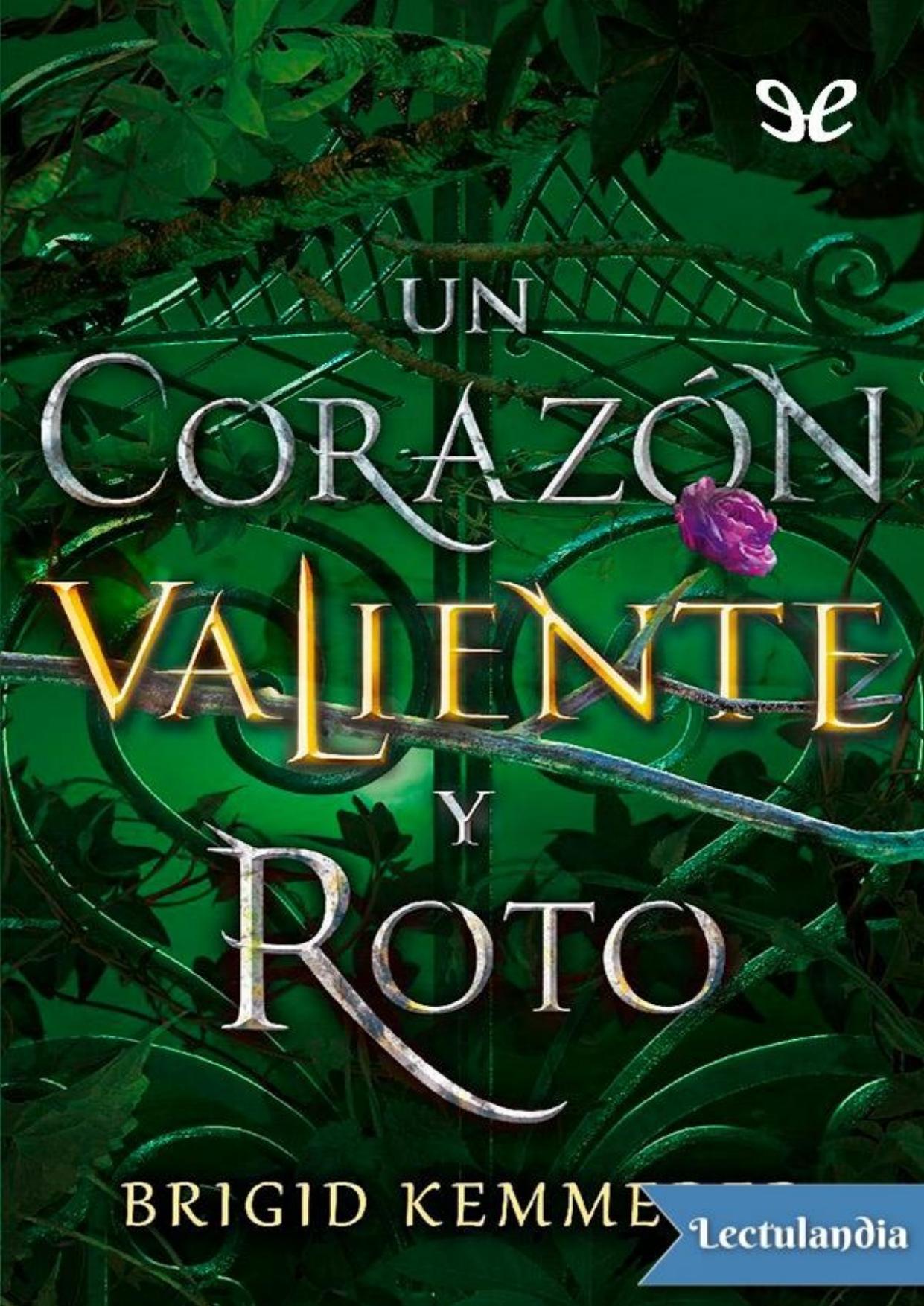 Un corazón valiente y roto de Brigid Kemmerer, portada del libro