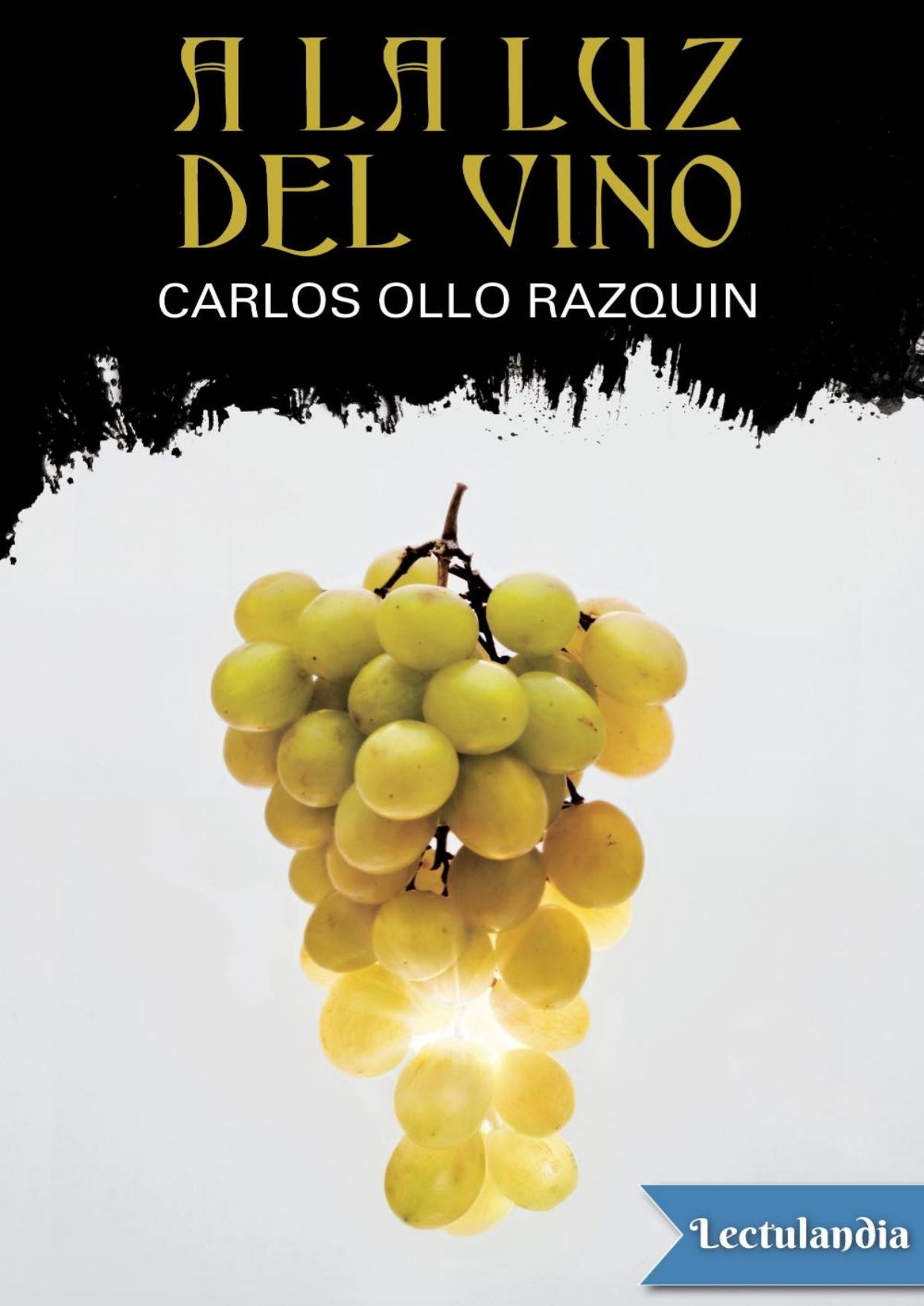 A la luz del vino de Carlos Ollo Razquin, portada del libro