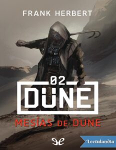 243733