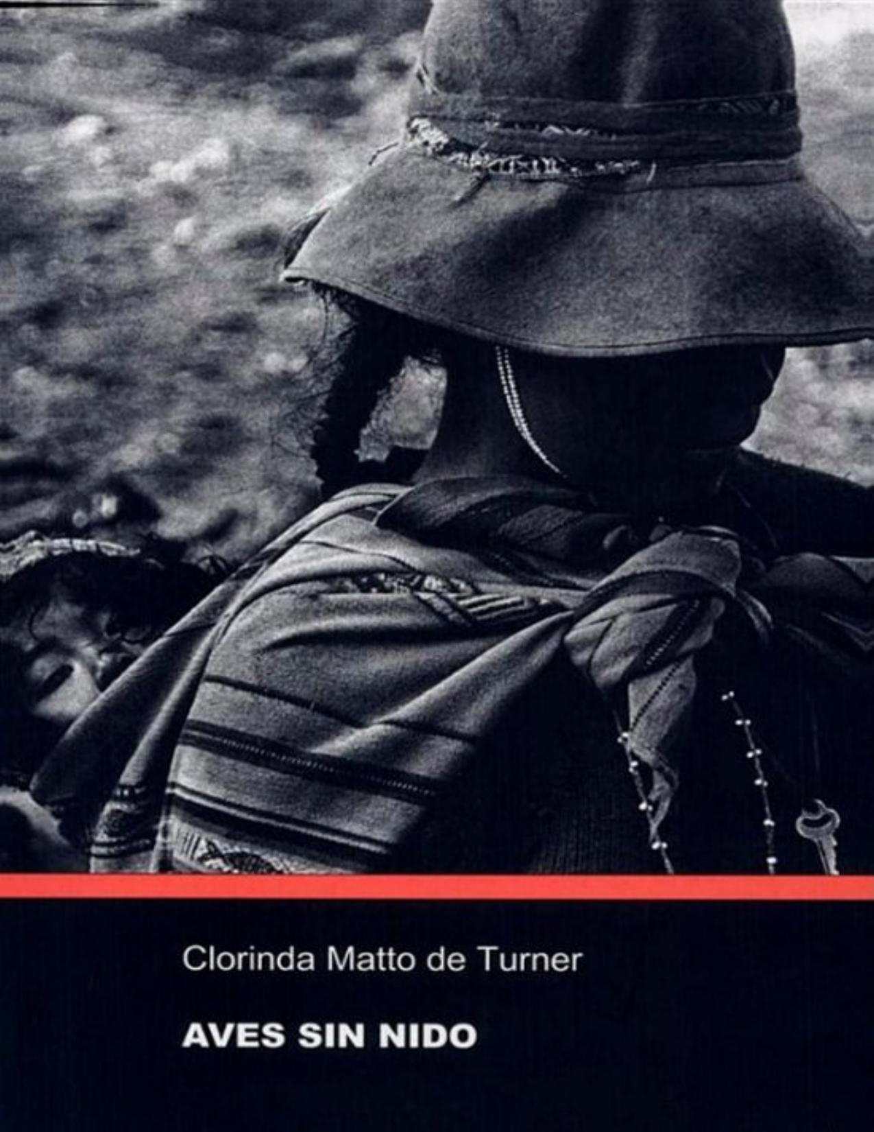 Aves sin nido de Clorinda Matto De Turner, portada del libro