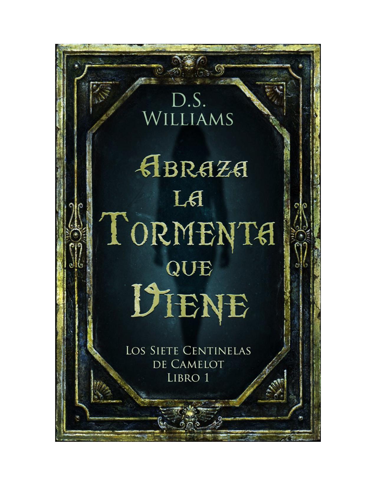 Abraza la Tormenta que Viene: Los Siete Centinelas de Camelot Libro 1 de D S Williams, portada del libro