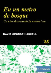 Portada de En un metro de bosque