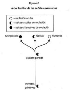 Portada de ¿Por que es divertido el sexo?