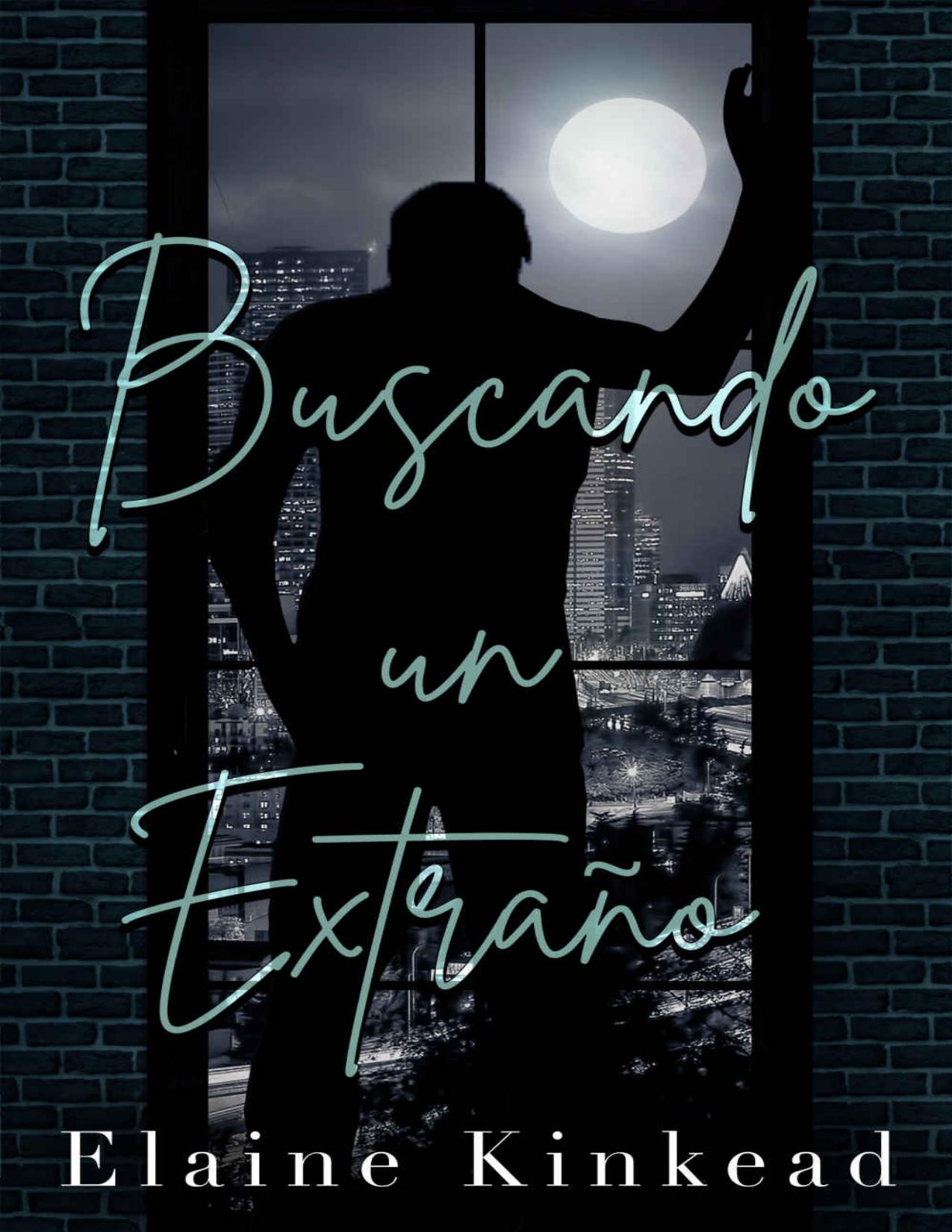 Buscando un extrano de Elaine Kinkead, portada del libro