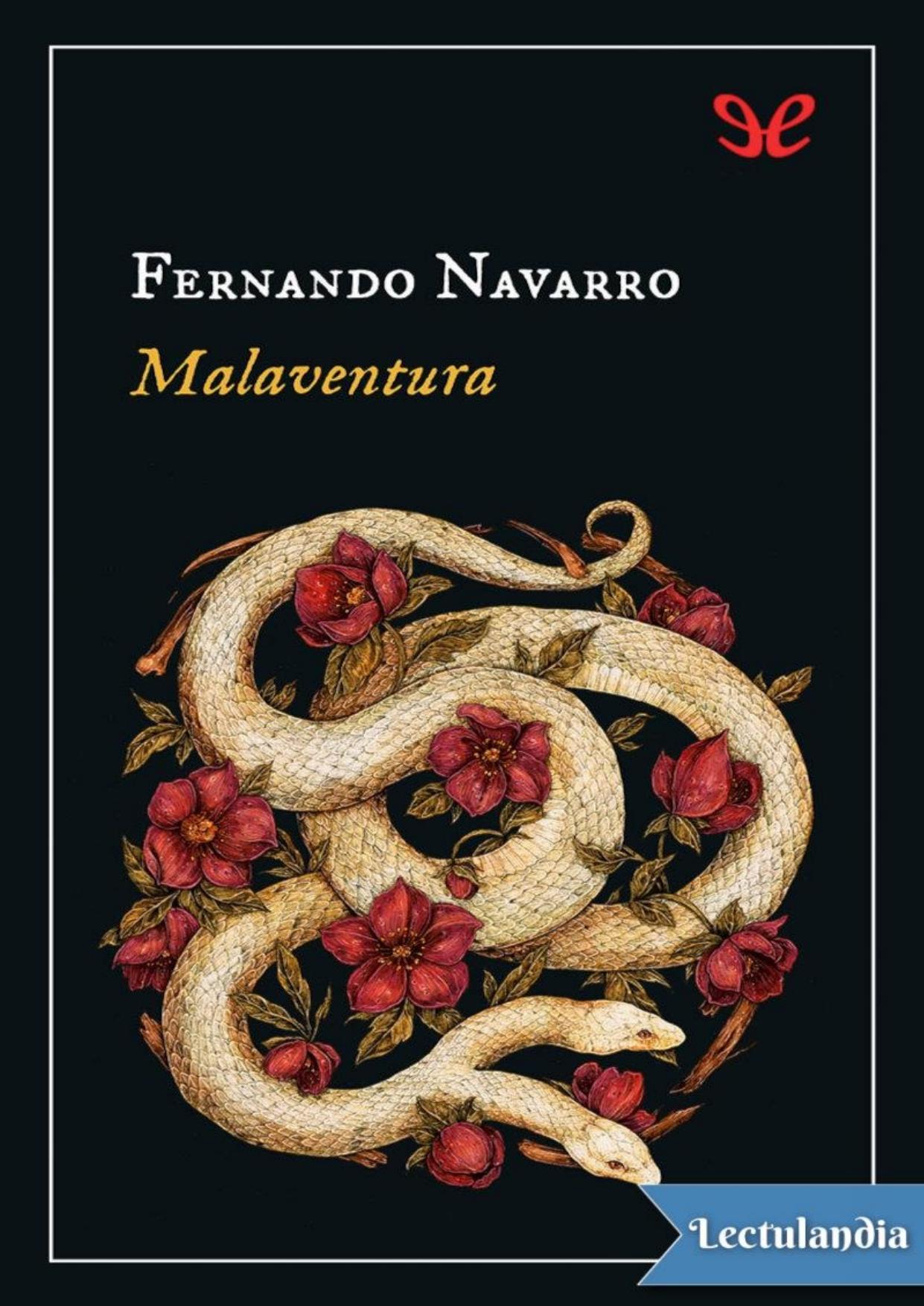Malaventura de Fernando Navarro, portada del libro