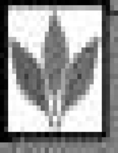 248402
