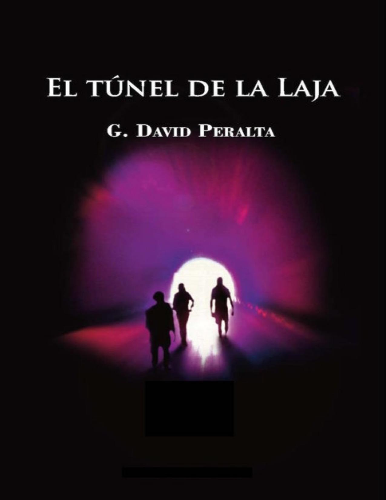 El túnel de La Laja de G. David Peralta, portada del libro