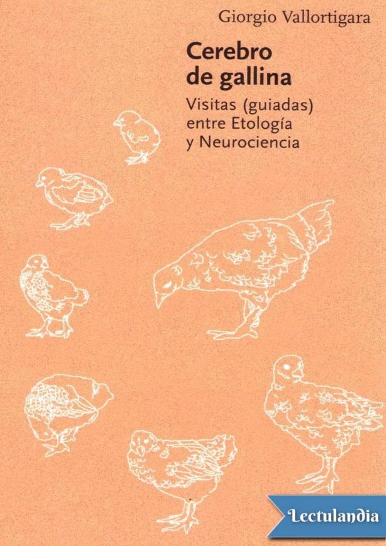 Cerebro de gallina de Giorgio Vallortigara, portada del libro