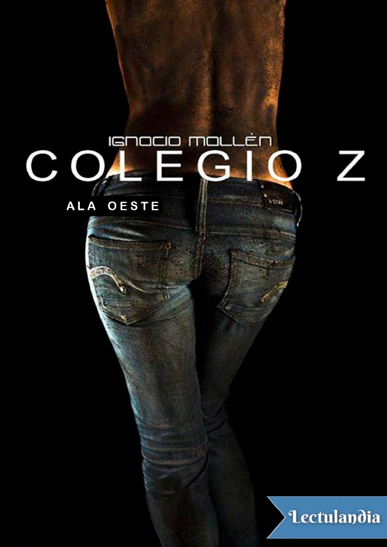Colegio Z: Ala oeste de Ignacio Mallén, portada del libro