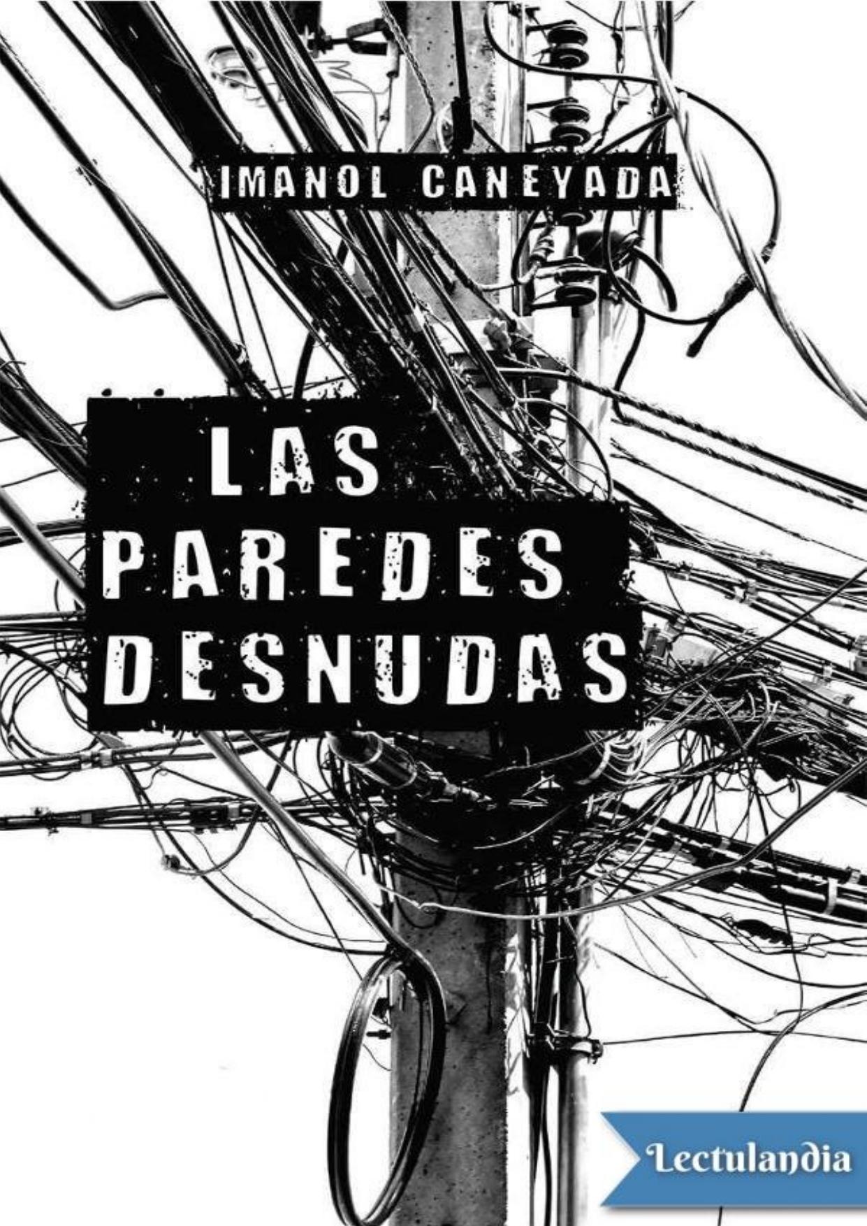 Las paredes desnudas de Imanol Caneyada, portada del libro