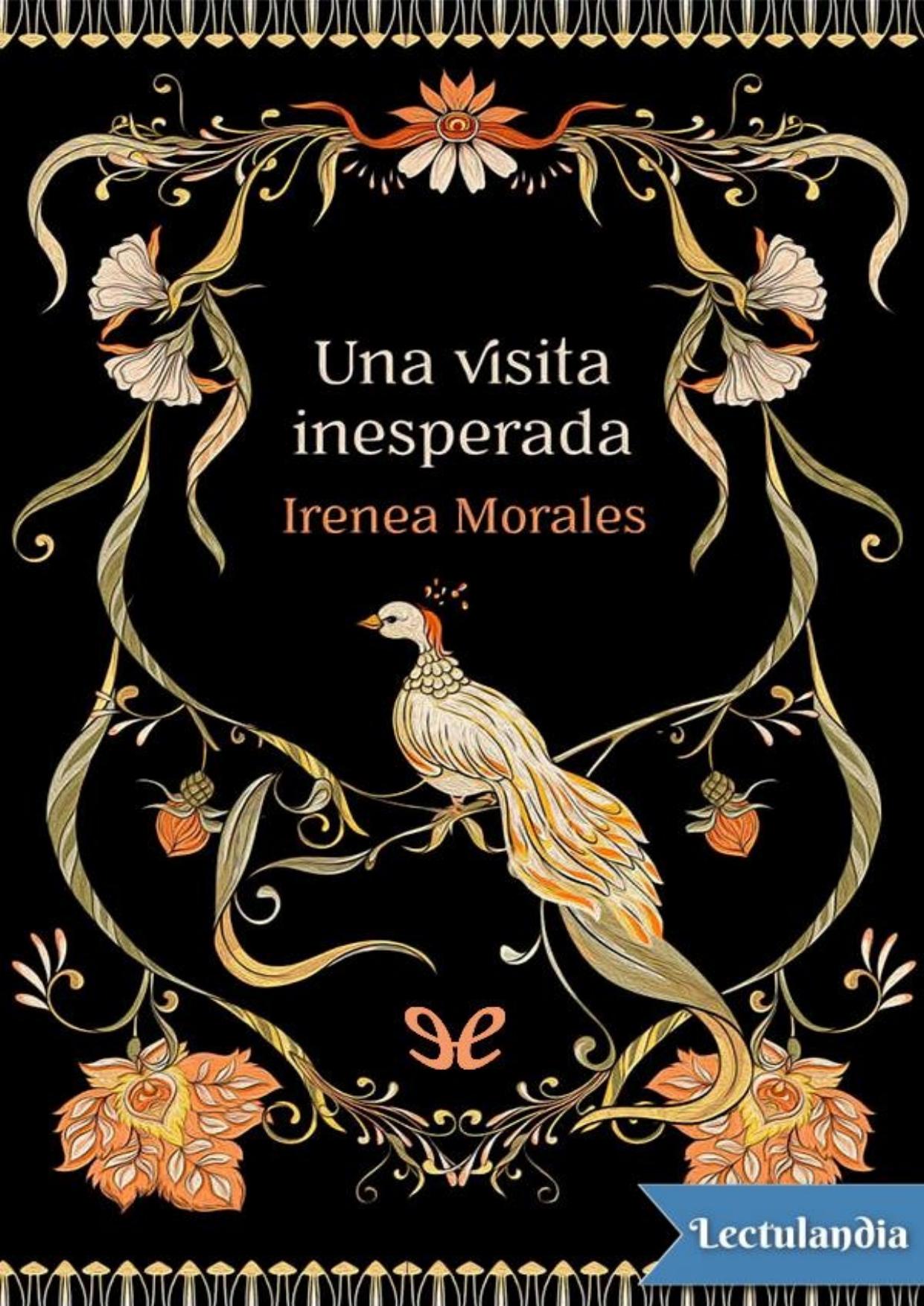 Una visita inesperada de Irenea Morales, portada del libro