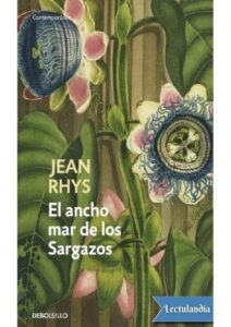 Portada de Ancho mar de los Sargazos