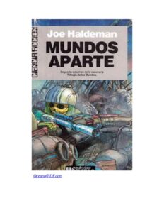 255427