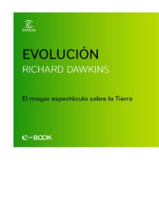 255516
