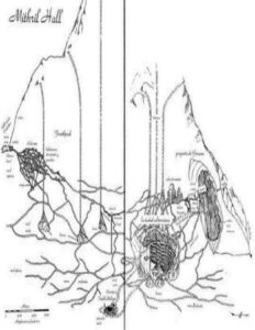 255720