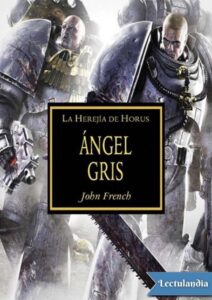 Portada de Angel gris