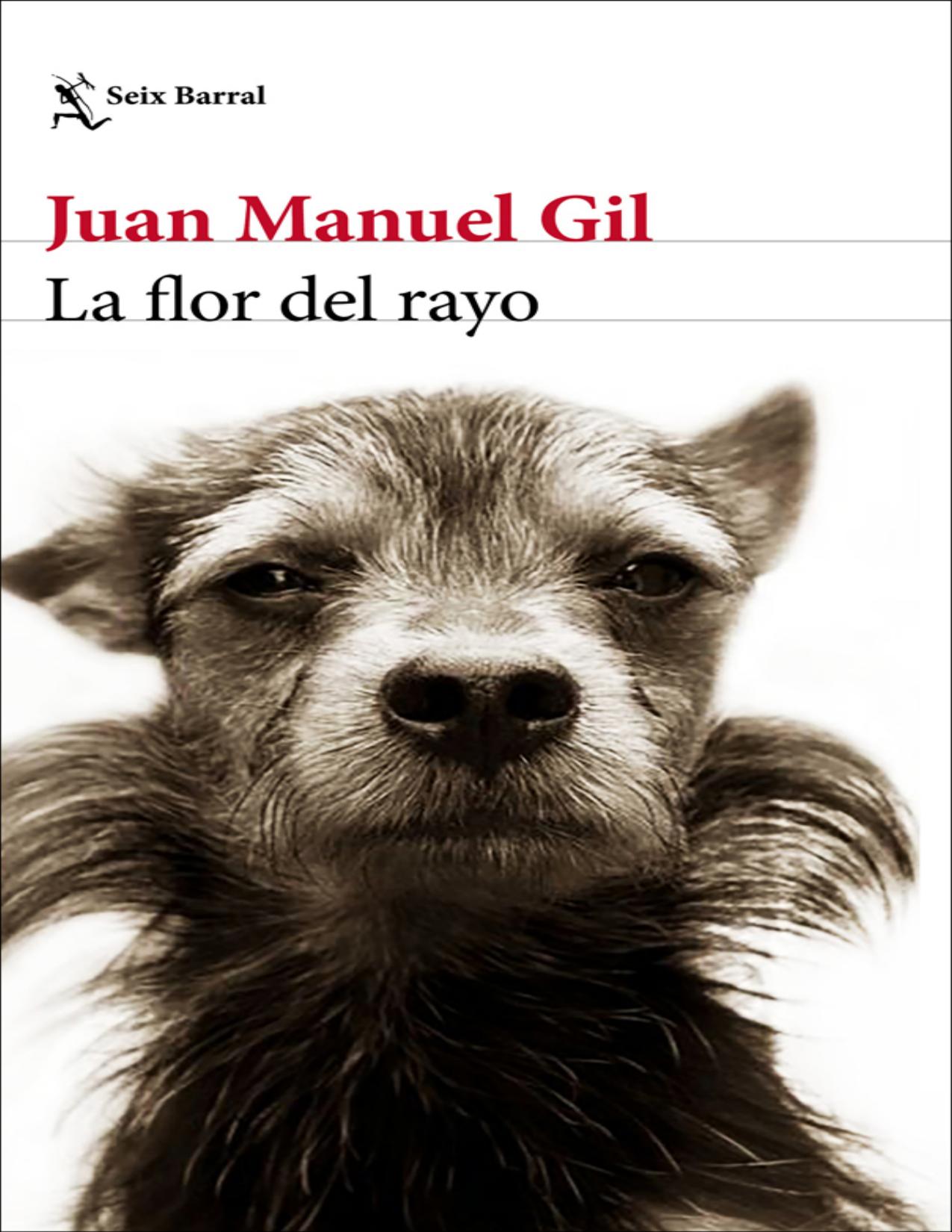 La flor del rayo de Juan Manuel Gil, portada del libro