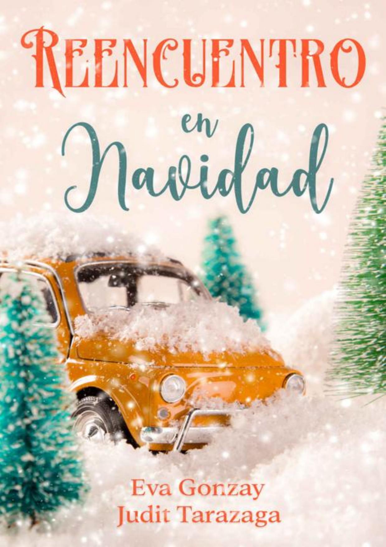 Reencuentro en Navidad de Eva Gonzay, Judit Tarazaga, portada del libro