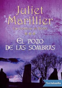 Portada de El pozo de las sombras