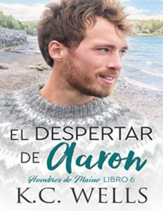 Portada de El despertar de Aaron