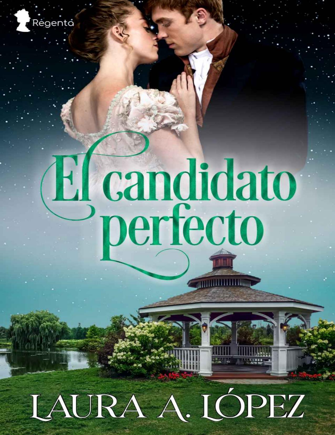 El candidato perfecto (Extranos no de Laura A Lopez, portada del libro