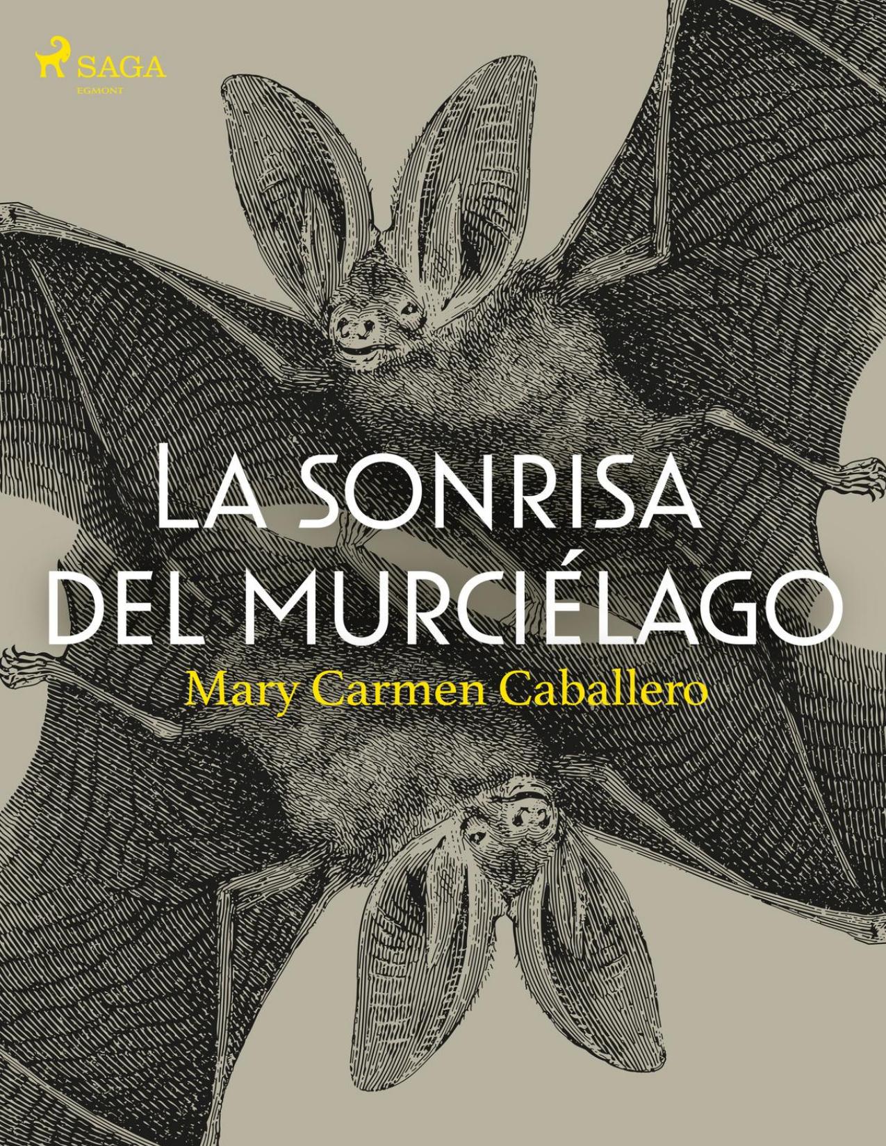 La sonrisa del murciélago de Mary Carmen Caballero, portada del libro