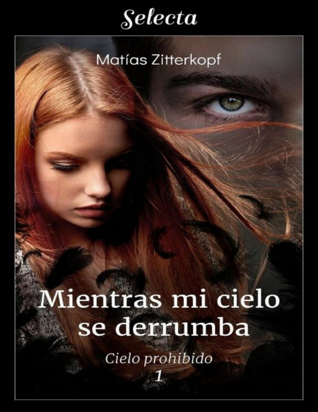 Mientras mi cielo se derrumba de Matias Zitterkopf, portada del libro