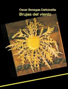Portada de Brujas del viento