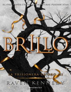 Portada de Brillo